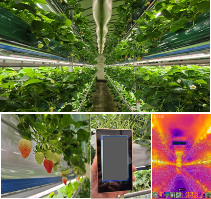 충남 논산 실증 사이트 이미지